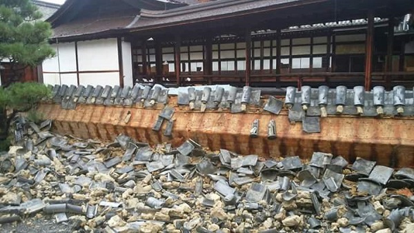 309504857